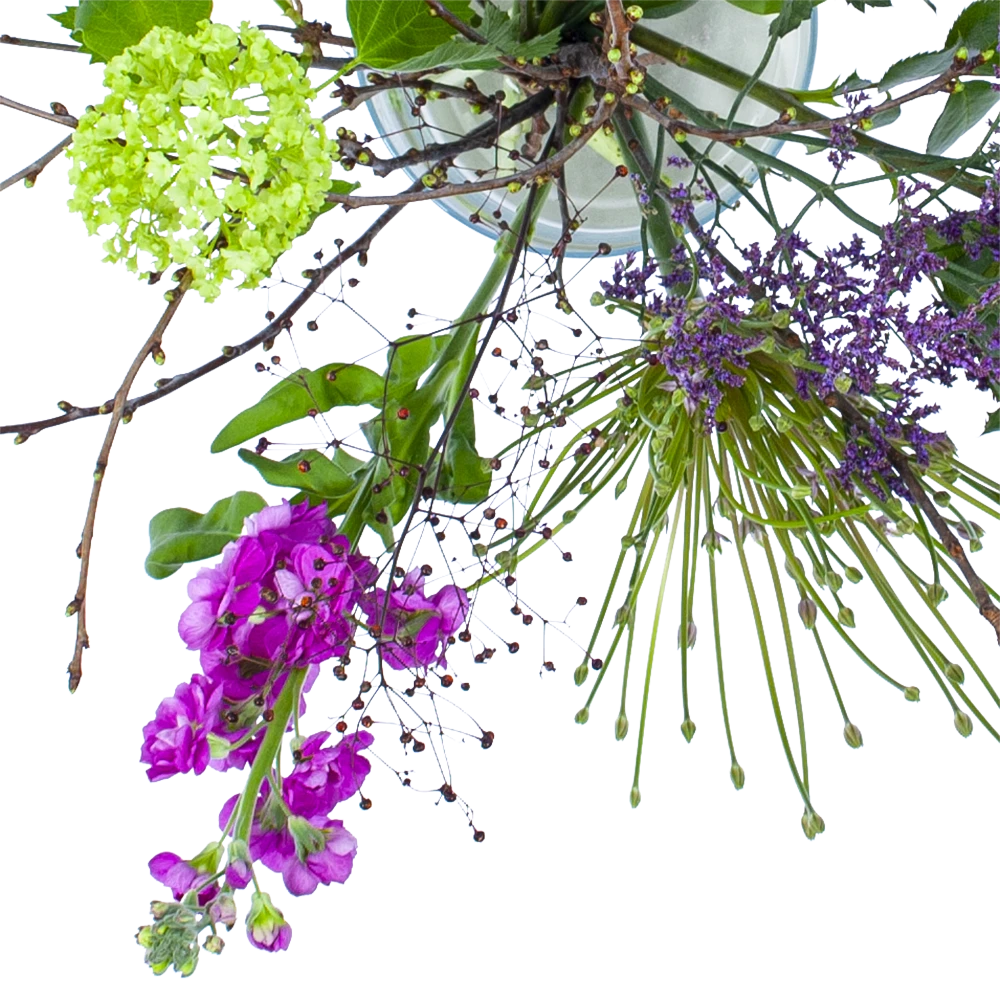 Boeket Biezen Groot - Afbeelding 2