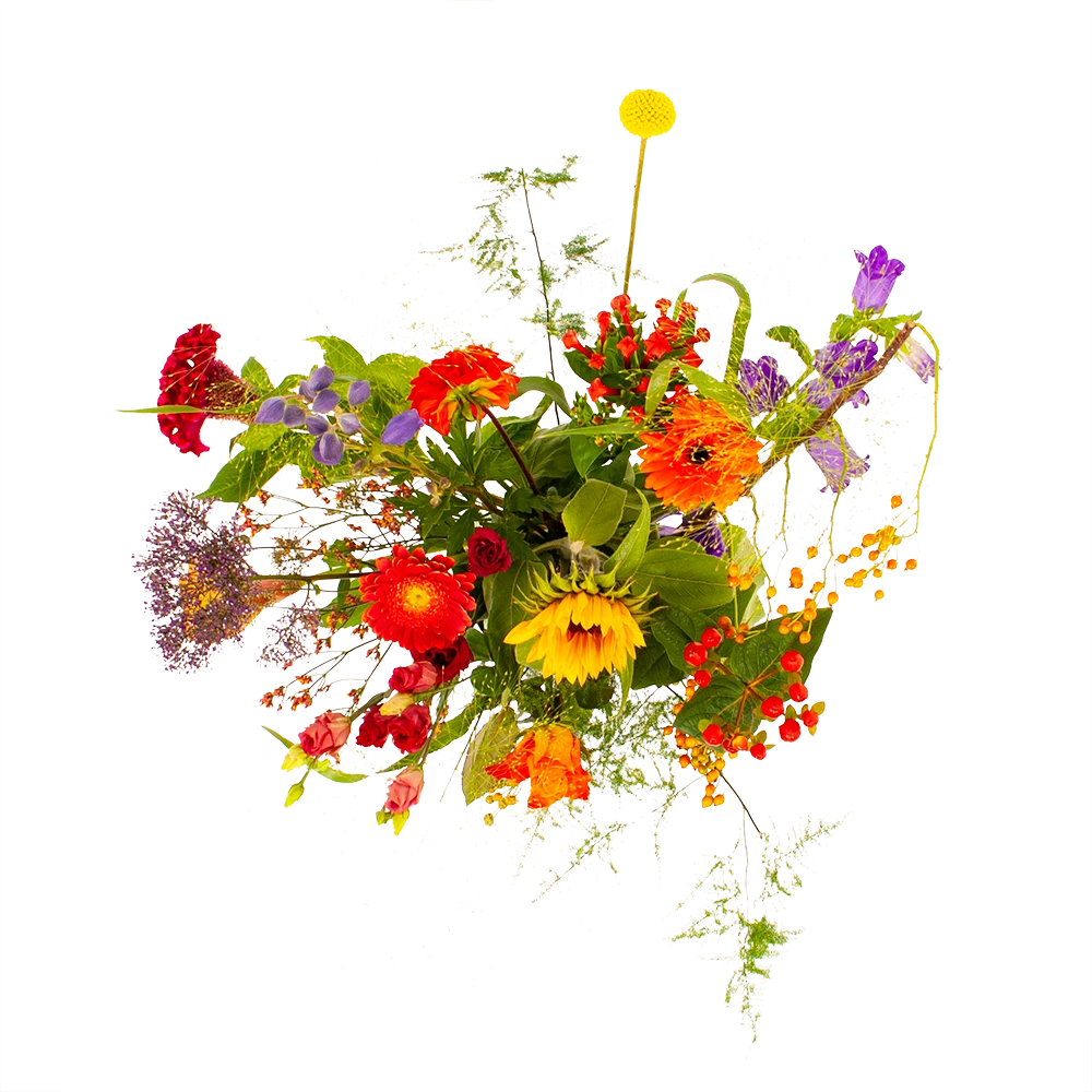 Boeket Plukgeluk Groot - Afbeelding 2