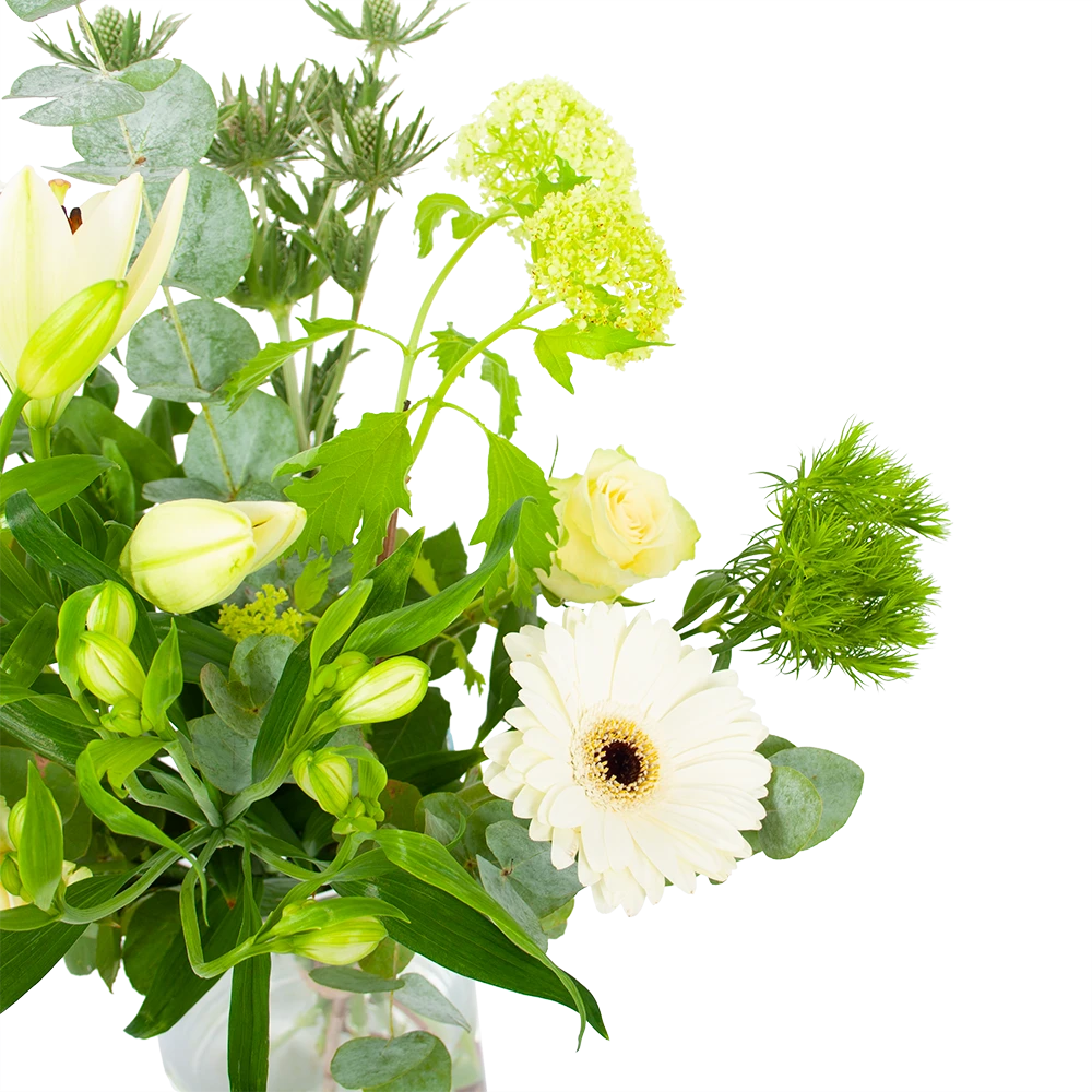 Boeket Wit Gebaar Middel - Afbeelding 2