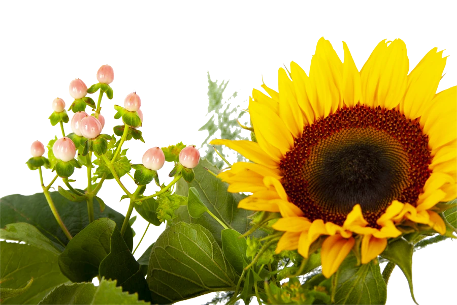 Boeket Zonnestraal Klein - Afbeelding 4