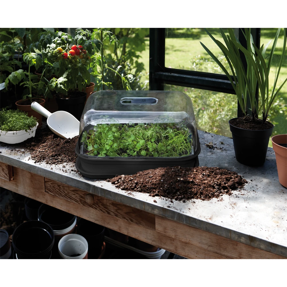 Elho Green Basics Kweek Kit Allin1 Restyled - Living Black - Afbeelding 2