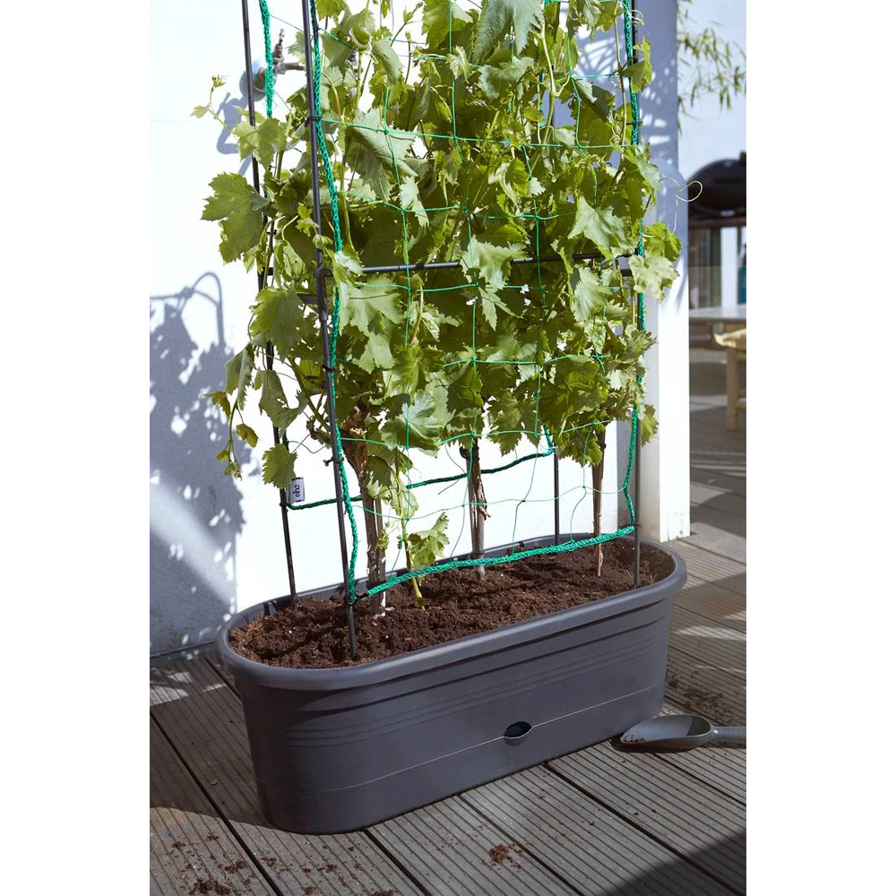 Elho Green Basics Veggie Wall 80cm - Living Black - Afbeelding 6