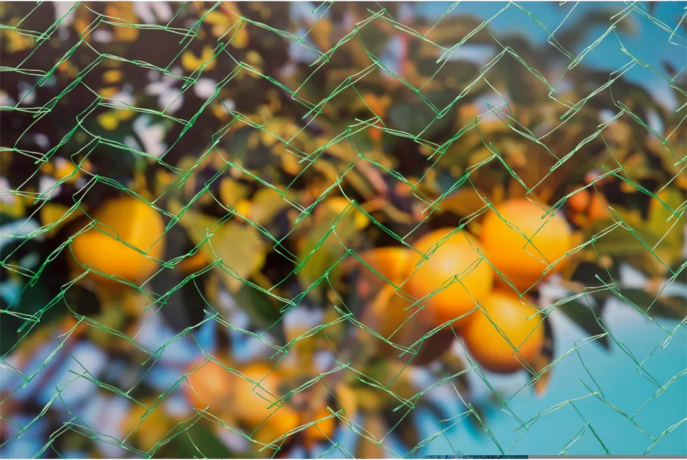 Tuinnet Mono - 8x8m - Groen - Nature - Afbeelding 4